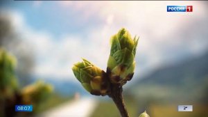 8.07 – Вести утро от 06.03.2026г.