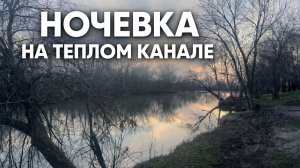 РЫБАЛКА С НОЧЕВКОЙ НА ТЕПЛОМ КАНАЛЕ. МАССОВЫЙ ЗАКОРМ. ИТОГ УДИВИЛ.
