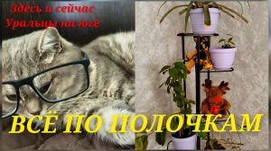 Всё по полочкам.Важная инструкция.О звёздах.