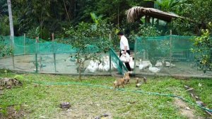 48.Мать-одиночка начинает новую жизнь в заброшенном доме