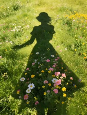 играем в тока бока