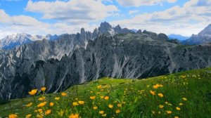 Цветущий луг в горах: Звуки природы с видом на альпийские вершины | Для сна, учёбы и медитации 4K