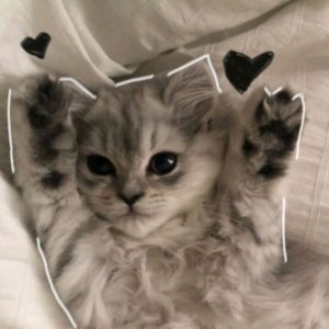 продолжение трансляции