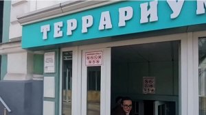 Террариум. Зоопарк г.Ростов-на-Дону.