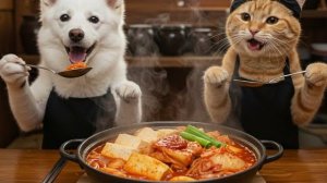 Собака Джиндо научит вас готовить лучшее блюдо из капусты для #удаленияжиранаживоте! #милоеживотное