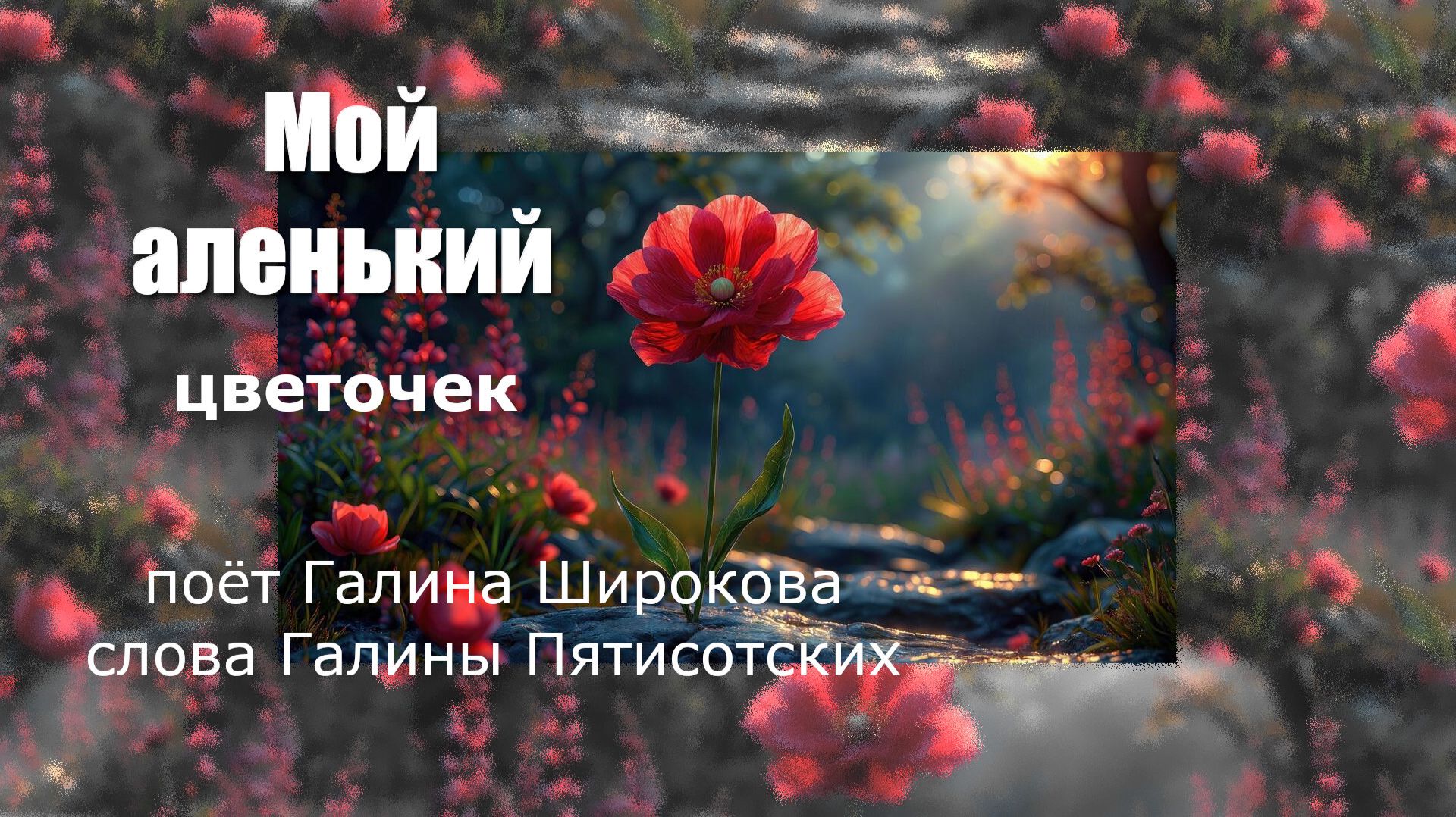 Мой Аленький цветочек Музыка и исполнение Галина Широкова, слова Галины Пятисотских