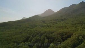 На всех парусах