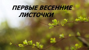 Тканевая коробочка. Пицца и аппликация.(март 2026г)