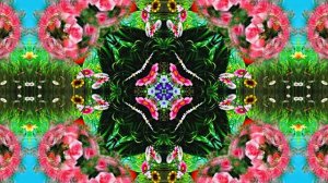 С 8 Марта!!! Праздничное поздравление Эти Розы для тебя 6 от Киностудии МКТ!!!