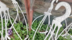 небольшой обзор