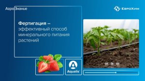 Фертигация — эффективный способ минерального питания растений