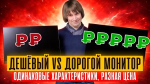 Дешёвый vs Дорогой Монитор - одинаковые характеристики, разная цена