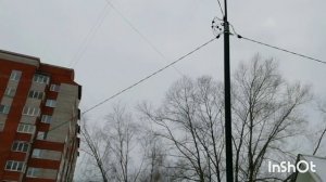 Под птичье пение