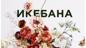 Икебана — японское искусство со знаком «плюс»
