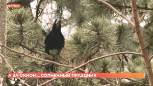 А за окном. 6 марта 2026