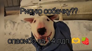 делаю новую псоху 🐾🫶