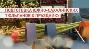 Агрономы из Южно-Сахалинска показали подготовку тюльпанов на конвейере к 8 Марта