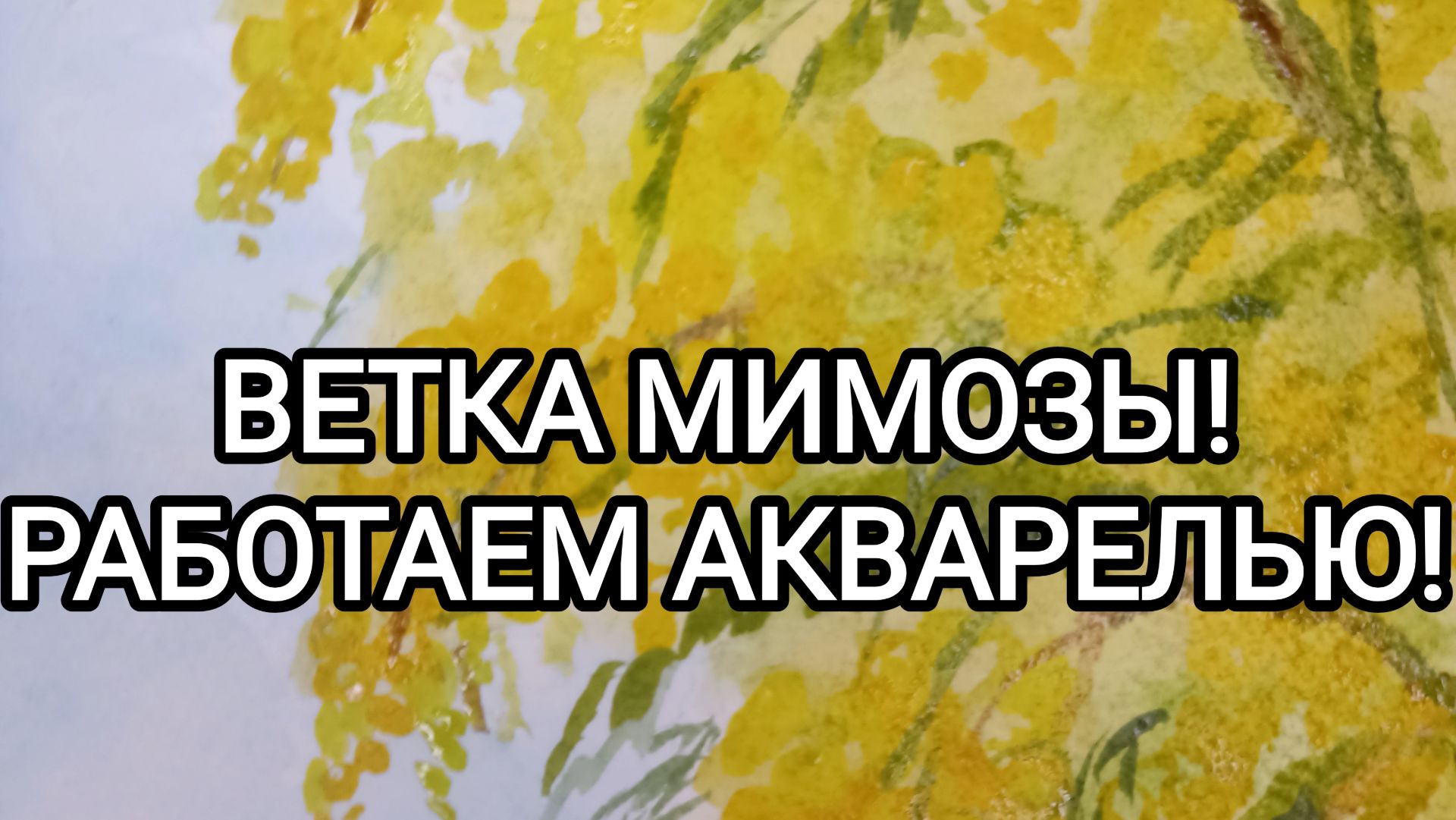 ВЕТКА МИМОЗЫ! РАБОТАЕМ АКВАРЕЛЬЮ!
