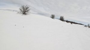 Катаемся на кайтах в окрестностях Зарайска