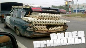 ЛУЧШИЕ ПРИКОЛЫ 2025 | ПРИКОЛЫ 2025 | СВЕЖИЕ ПРИКОЛЫ 2026 | РЖУ НЕ МОГУ |