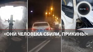 «Руки на стол!» | Выбивали процент с овец | Покушение на медведя | Машина ДПС сбила пешеходов