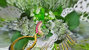 С 8 Марта Поздравление 3 от Киностудии Мудрого Кота Тимофея!