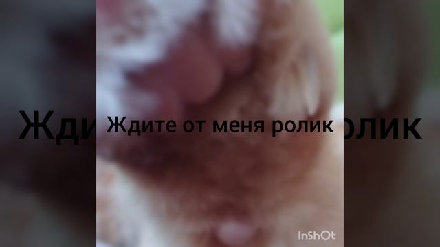 сегодня или завтра точно 💚💜