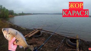 ПРИШЛА ВЕСНА И ПРОСНУЛИСЬ ОГРОМНЫЕ КАРАСИ! ЭТА СНАСТЬ И ПРИКОРМКА ВСЕГДА ПОЙМАЕТ КАРАСЯ! ЖОР КАРАСЯ!