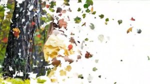 Отвечаю только богу и стиху