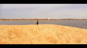 шманяю из самодельной разгадки часть 22