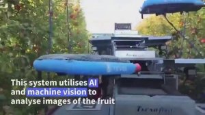 Главная угроза (или наоборот шанс выйти на новый уровень) населению третьего мира - сельхозроботы.