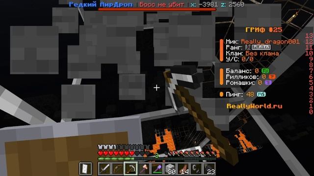 СКАЧАЛ X-RAY ЧТОБЫ ПРОВЕРИТЬ КАК БЫСТРО МЕНЯ ЗАБАНЯТ НА REALLYWORLD