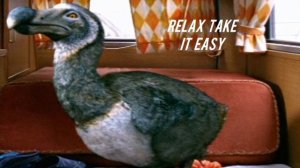 Mika - Relax, Take It Easy