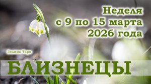 БЛИЗНЕЦЫ | ТАРО прогноз на неделю с 9 по 15 марта 2026 года