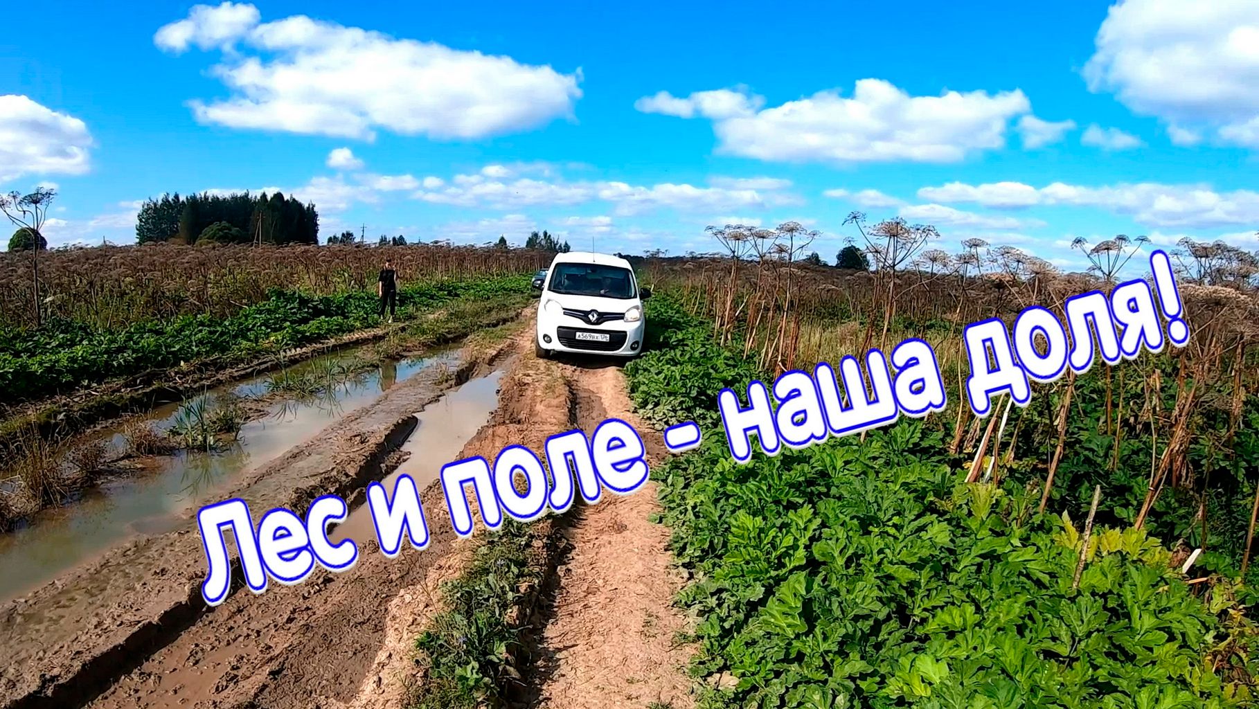 ЛЕС и ПОЛЕ - НАША ДОЛЯ!