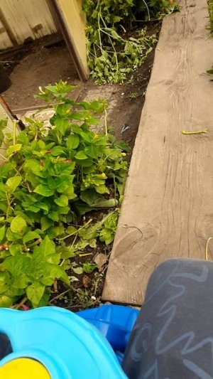 испытание моей тачки с детства