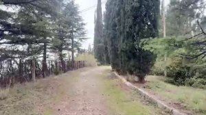 🎹 Беседуем и поём под фортепиано 🎹 | #ламповыйстрим #девушкастримит #пианино