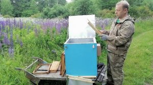 Электрическая воскотопка «Счастье пчеловода». Сухая перетопка без воды и лишнего контроля