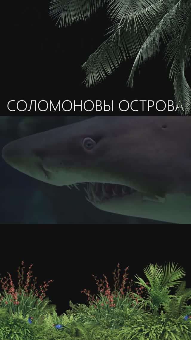 Самая ОПАСНАЯ акула для человека! 🦈😱