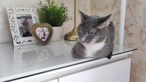 Уборка #583 везде чистота красота)