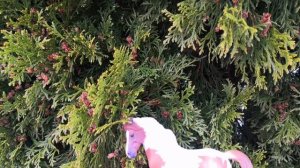 Весенний фотосет 💐🌸🏵️🌹🌺🌼🌷( не обращайте внимания на то что там снег)