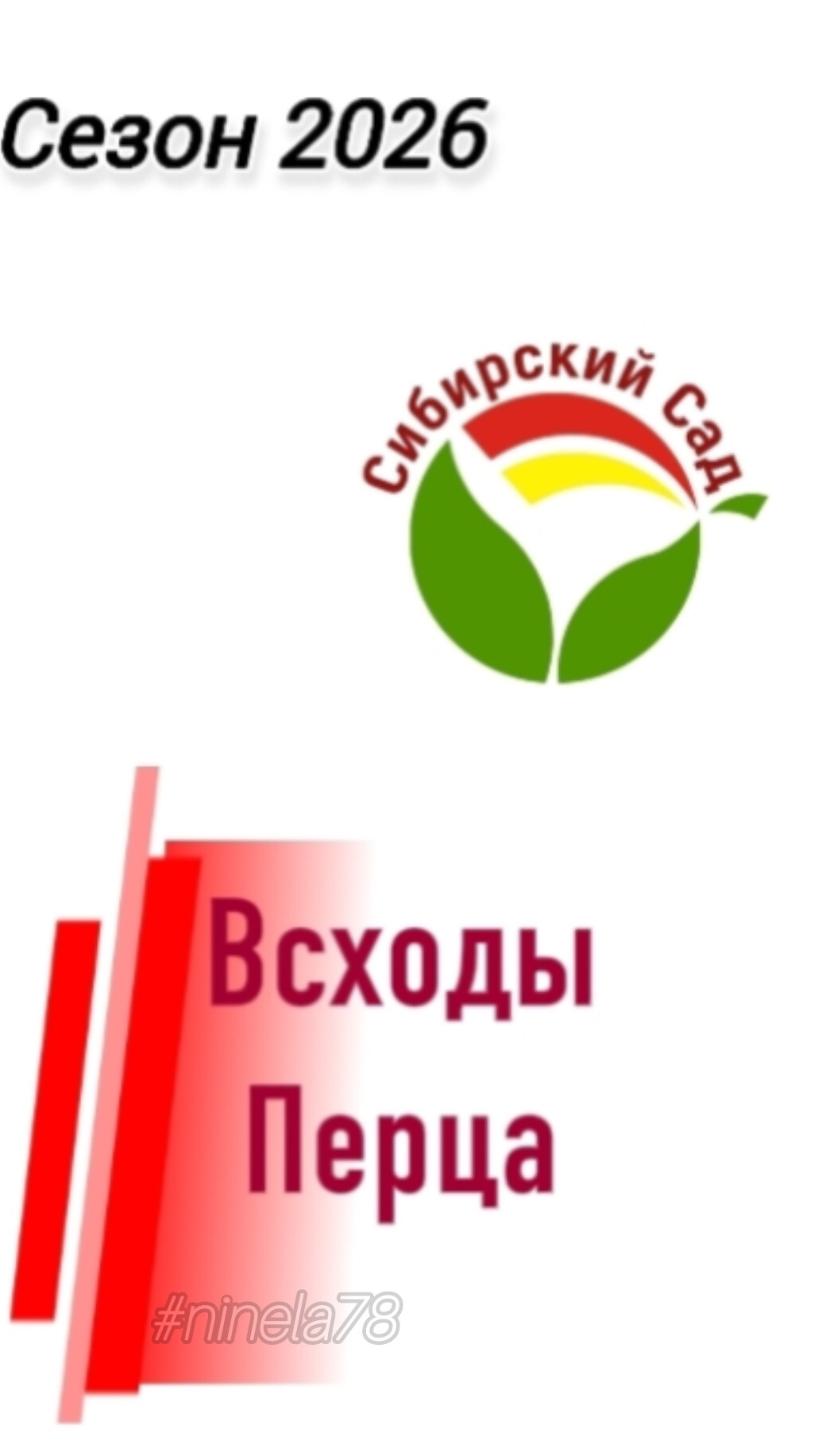 Всходы перцев от @СибСада пост#2