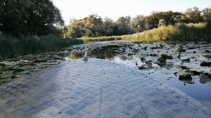 VID_20220823_164259.mp4