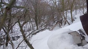 Покажу наши обновки Настроение так себе