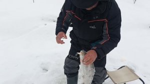 VID_20260307_122030_105