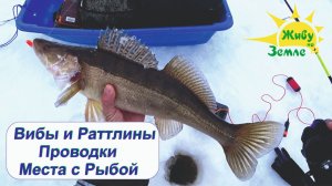 Ловля судака зимой. Всё что нужно знать. Коротко и ясно на конкретных примерах