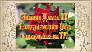 С 8 Марта Поздравление 7 от Киностудии Мудрого Кота Тимофея!