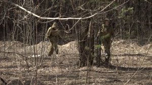 В Новосибирской области ожидается ранняя активность клещей