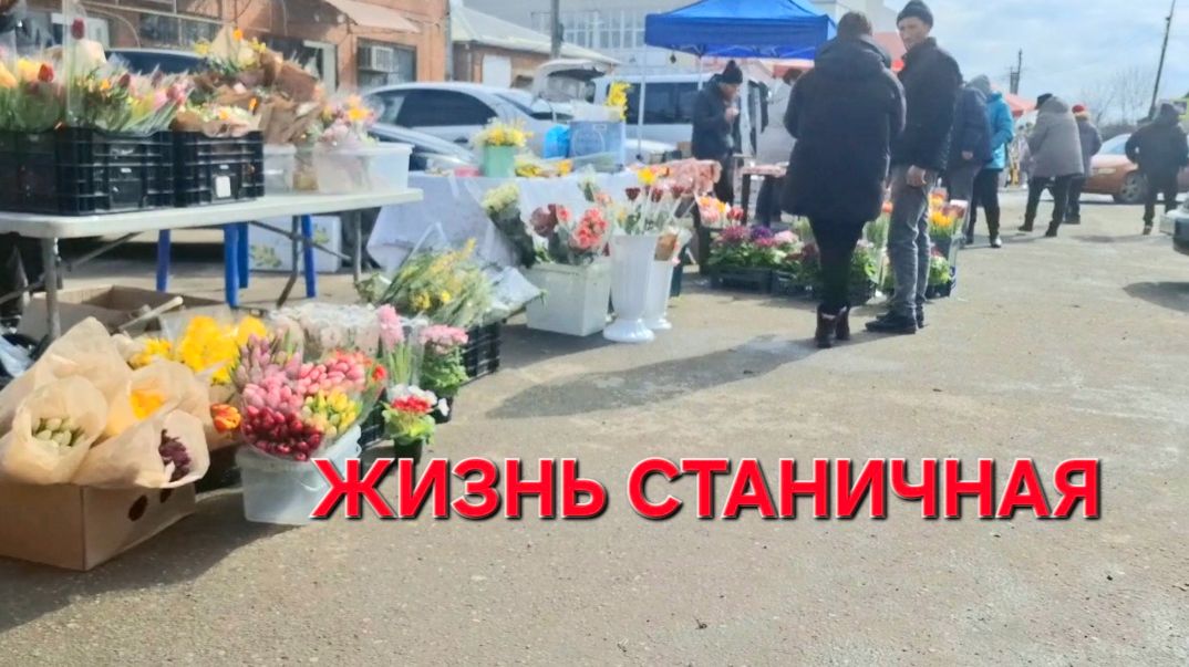 1098 А мы и не знали!Я в глубоком обмороке. Жизнь Станичная.