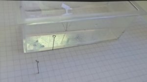 Лабораторная работа Преломление света